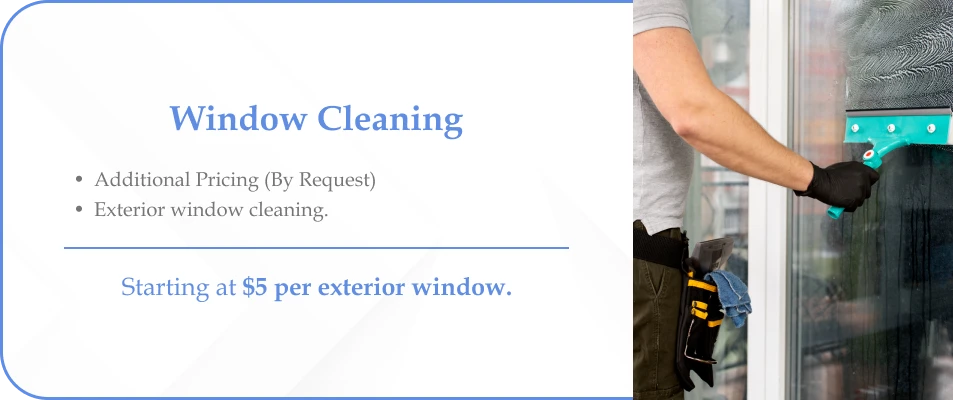 WINDOW CLEANING